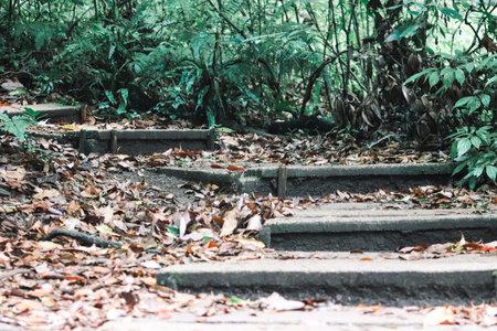 Doi Inthanon, Chiang Mai, Thailand