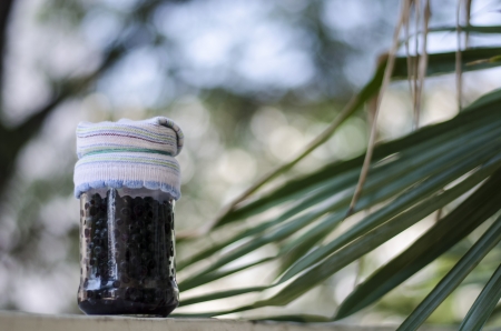 Blueberries in a jarの写真素材