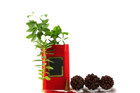 Tea box, with a design in the middle, decorated flowers, incense and pine seedsの写真素材