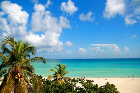 paradise beachの写真素材