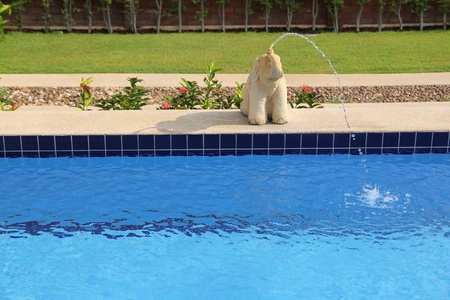 pool areaの写真素材