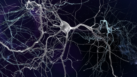 Neuron cells network, concept of neurons and nervous systemの写真素材
