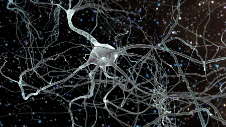 Neuron cells network, concept of neurons and nervous system