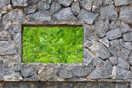 rough stone wall with rectangular window full of greenの写真素材