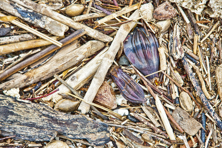 natural texture with many wooden things in a heap