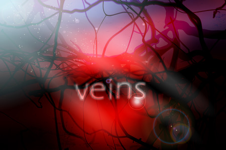 blood vessels vector illustration with blurred background and lighting effectsのイラスト素材