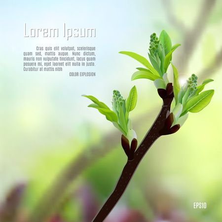 gentle green young leaves spring vector backgroundのイラスト素材