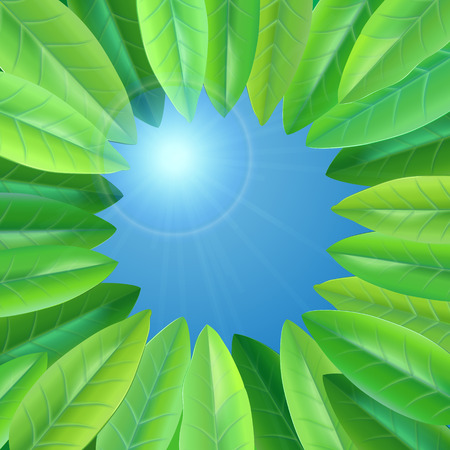 green fresh summer leaves forming concentric compositionのイラスト素材