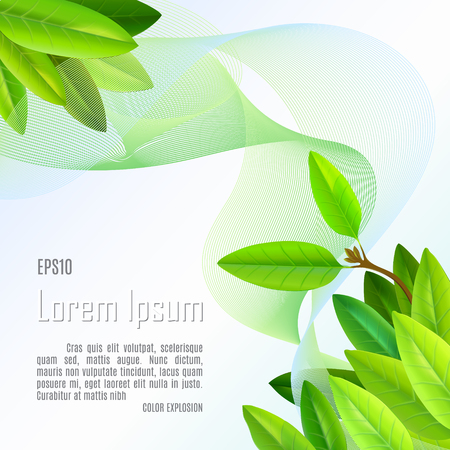 summer day with sunlight and fresh green leaves vector templateのイラスト素材