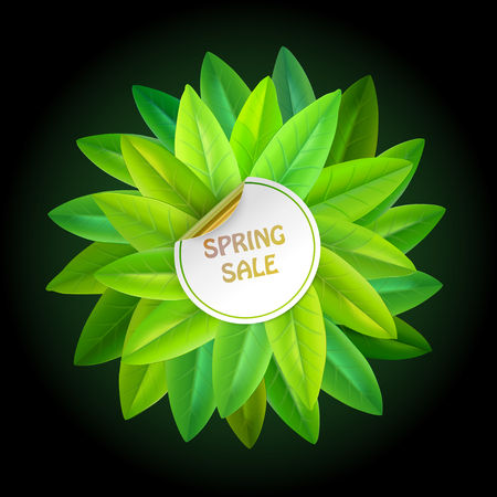 round paper label with golden backside and leaves behindのイラスト素材