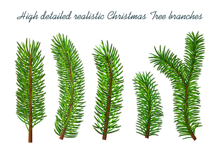 Christmas tree branches isolatedのイラスト素材