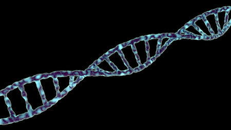 Single DNA molecule spiral isolated on blackの写真素材