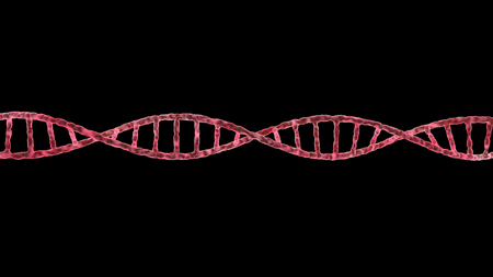 Single DNA molecule spiral isolated on blackの写真素材