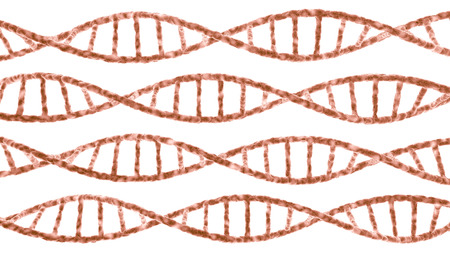 set of DNA spirals isolated on whiteの写真素材