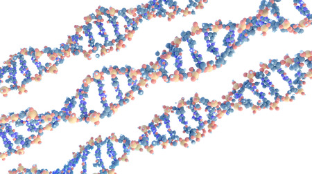 scientific 3D models of DNA spiral molecules on whiteの写真素材