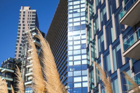 unity of nature and modern city life conceptの写真素材
