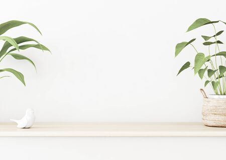 Interior wall mockup with wooden table and green home plants in basket standing on empty white background. 3D rendering, illustration.の写真素材