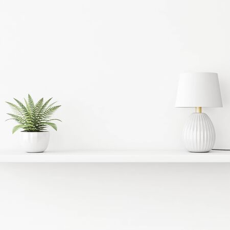Interior wall mockup with green plant in pot and lamp standing on the shelf on empty white background. 3D rendering, illustration.の写真素材
