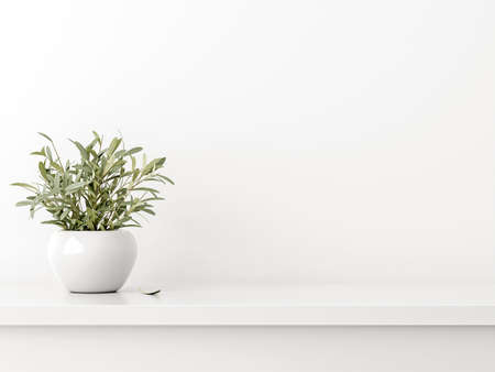 Empty wall mockup with green olive twigs in vase standing on shelf with white background. Simple, neutral, minimal room decoration. 3d rendering, illustrationの写真素材