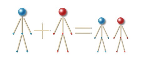simple equation of a family represented by little men made of blue and red matches and balls, mother plus father equals two childrenの写真素材