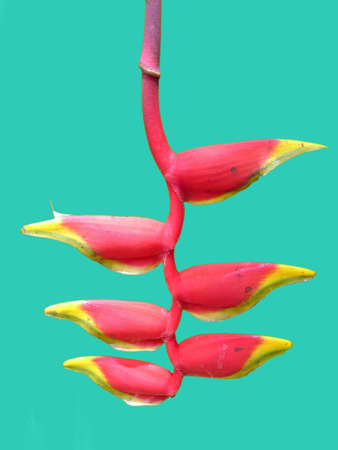 Arrayの写真素材