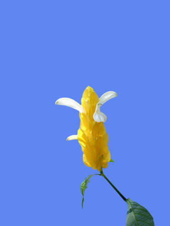                 postcardの写真素材