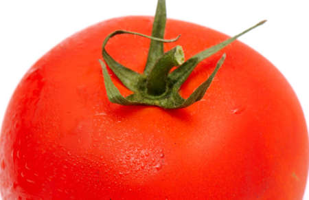 the tomatoの写真素材