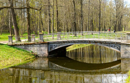 bridge in the parkの写真素材