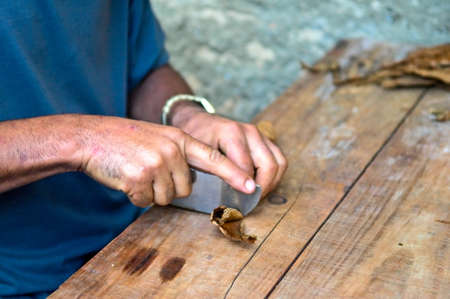 making of cuban cigarの写真素材