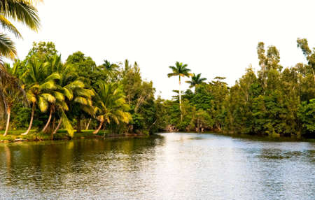 tropical riverの写真素材