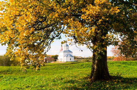 tree, church and meadowの写真素材