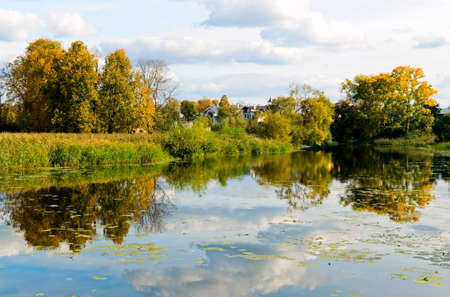 river in forest