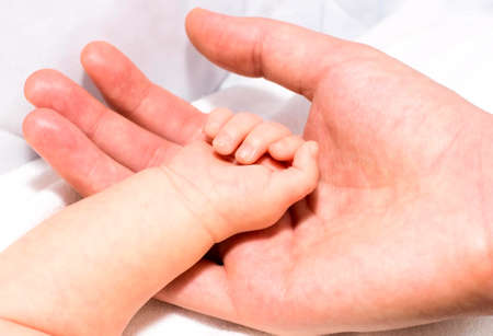 handsの写真素材