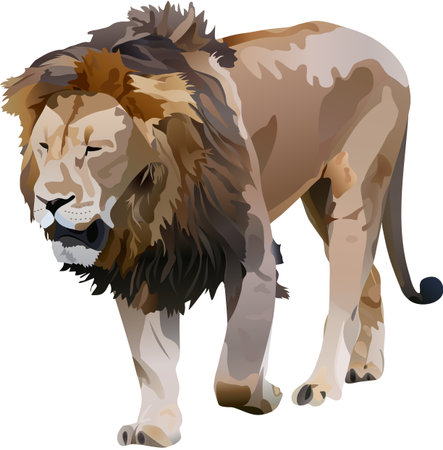 the lionのイラスト素材