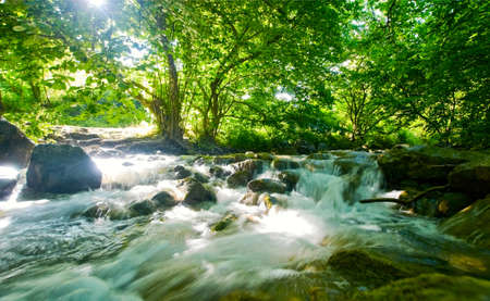 riverの写真素材