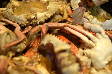 Thai style Crab Curryの写真素材