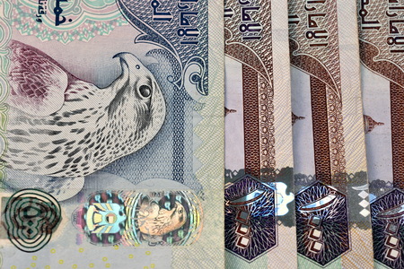 Close up different Dirhams currency note and coins, United Arab Emirates  Close up different Dirhams...
