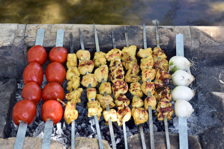 Iranian chicken Barbecue with onion and chilly  in the parkの写真素材