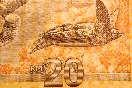 Close up Malaysia Ringgit currency note RMYの写真素材
