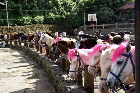 BAGUIO CITY, PHILIPPINES, DECEMBER 14, 2017, Baguio City Sightseeing, the summer Capital of Philippinesのeditorial素材