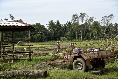 Santiago City, Isabela, Philippines, December 15, 2017, Santiago City Sightseeing, Road and city view, Rice Field, one of major cities of rice procedures in the Philippines.のeditorial素材