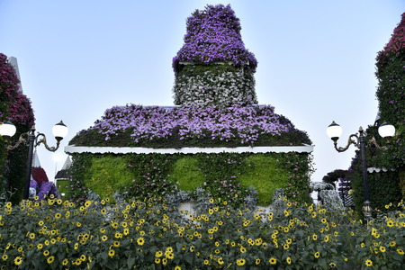 Dubai, United Arab Emirates, March 22, 2018, Dubai Miracle Garden located in the district of Dubailand is one of a kind in the region and the world for such a unique display and extravagant outdoor recreational destination visited by lot of people in wintのeditorial素材