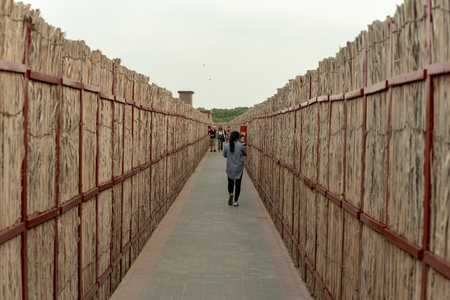 November 17, 2018, Flamingoes in Ras Al Khor Wildlife Sanctuary, Ramsar Site, Flamingo hide2, Dubai, United Arab Emiratesのeditorial素材