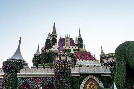 Dubai, United Arab Emirates, December 01, 2019, Dubai Miracle Garden located in the district of Dubailand is one of a kind in the region and the world for such a unique display and extravagant outdoor recreational destination visited by lot of people in wのeditorial素材