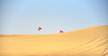 Around Al Qudra Lake desert viewing of the sand and plant in the desert, Dubai, United Arab Emirates