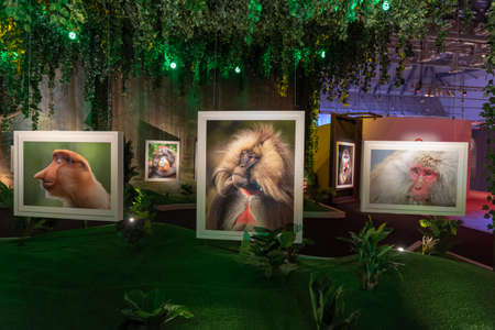 Xposure International Photography Festival, Sharjah, United Arab Emirates, February 11, 2022 Xposure...