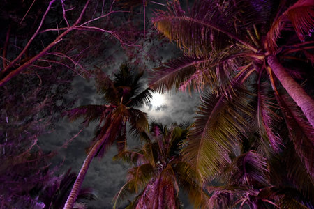 Boracay Island, Philippines, July 10, 2022, tourist spot in central Philippines, lot of visitors coming from country and around the world.の写真素材