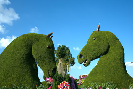 Dubai, United Arab Emirates, December 11, 2022, Dubai Miracle Garden located in the district of Dubailand is one of a kind in the region and the world for such a unique display and extravagant outdoor recreational destination visited by lot of people in wのeditorial素材