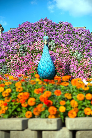Dubai, United Arab Emirates, December 11, 2022, Dubai Miracle Garden located in the district of Dubailand is one of a kind in the region and the world for such a unique display and extravagant outdoor recreational destination visited by lot of people in wのeditorial素材
