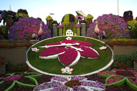 Dubai, United Arab Emirates, December 11, 2022, Dubai Miracle Garden located in the district of Dubailand is one of a kind in the region and the world for such a unique display and extravagant outdoor recreational destination visited by lot of people in wのeditorial素材